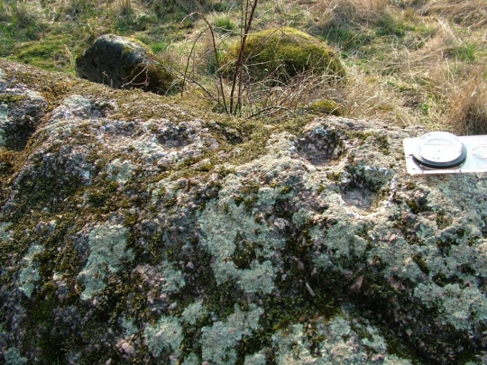 Kapsēdes Rudais akmens. Foto: A.Grīnbergs, 2008.