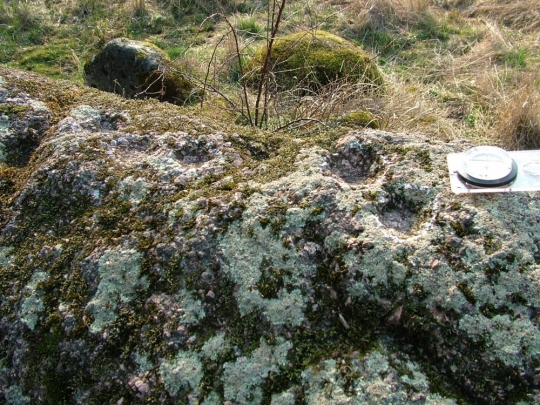 Kapsēdes Rudais akmens. Foto: A.Grīnbergs, 2008.